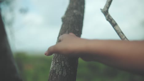 slow-motion close-up of a hand reaching out to gently touch the textured bark of a tree branch, evoking a quiet moment of connection with nature in a soft, blurred landscape under calm daylight