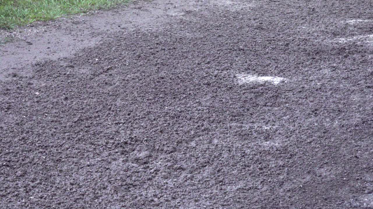 The legs of a horse galloping over dirty soil in nature