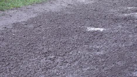 the legs of a horse galloping over dirty soil in nature
