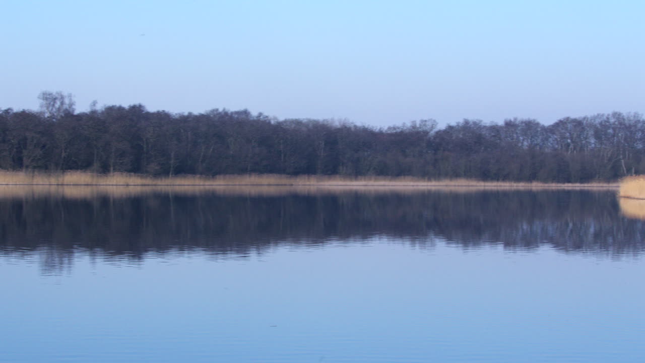 Panning Wide shot of Rollesby Broad taken from the A149 at Ormesby St Margaret