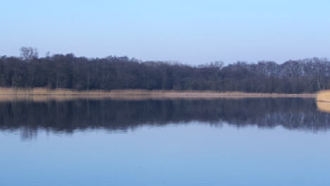 panning wide shot of rollesby broad taken from the a149 at ormesby st margaret