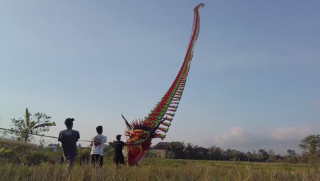 a few boys playing a giant dragon unique kitein the middle of rice fields that have been harvested on a sunny day