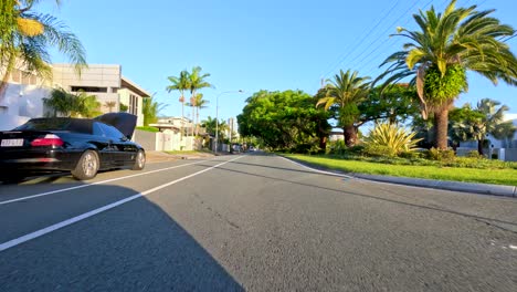 a peaceful drive along tree-lined roads