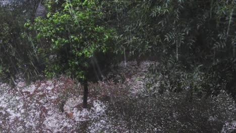 Zerstörerischer-Hagelgewitter,-Der-Bäume-Und-Blätter-Im-Garten-Mit-Hagelkörnern-Trifft-Und-Schäden-Verursacht,-Sehr-Schwere-Naturkatastrophe,-Gefolgt-Von-Starken-Regenfällen,-Die-Überschwemmungen-Verursachen