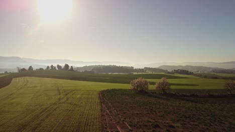 Vista-Aérea-Panorámica-De-Molinos-De-Viento-En-Campos-Verdes-En-Igualada,-Barcelona-Al-Amanecer