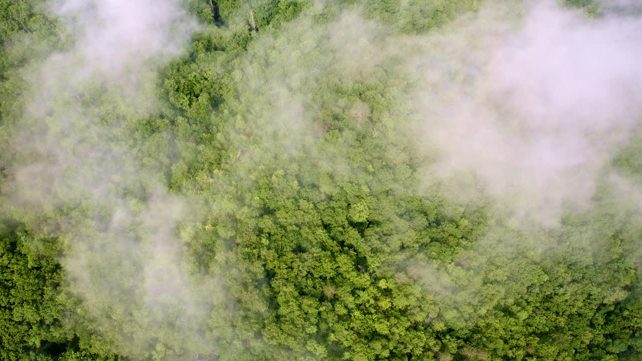 Captivating drone flight across the Great Smokies.