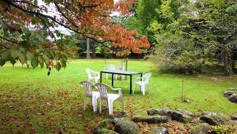 a picturesque of a bright green park having vacant table and chairs in the middle with rich autumn leaves in foreground