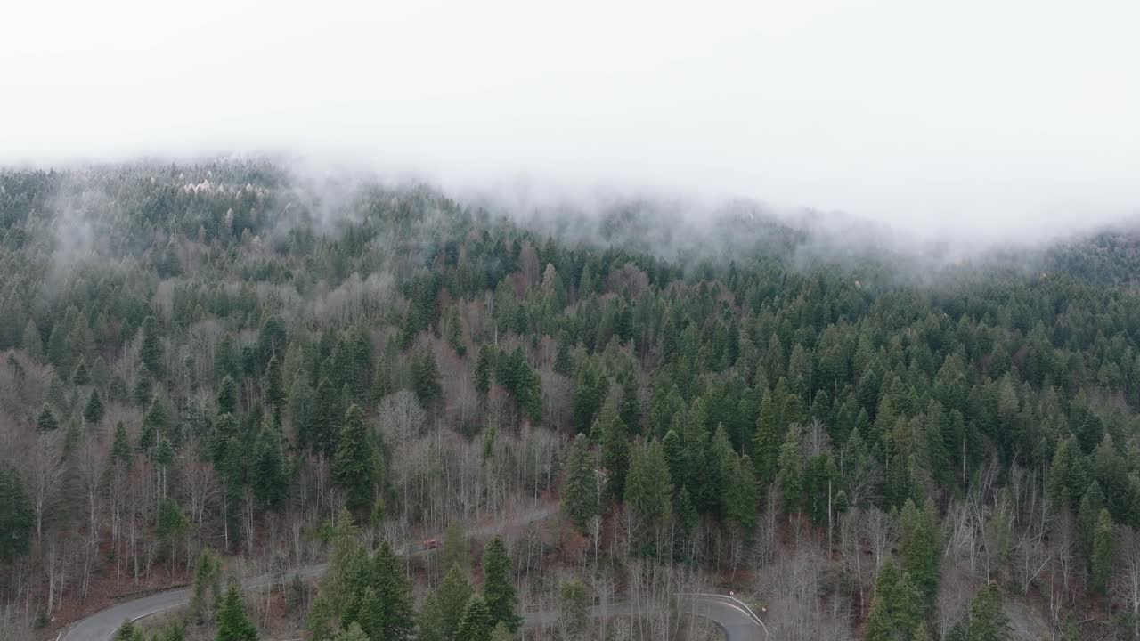 снимок с воздуха в туманную погоду на сельской дороге в сердце гор бучеги, румыния