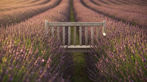 a serene lavender field with a wooden bench inviting peaceful reflection amidst rows of purple blooms under a soft cloudy sky