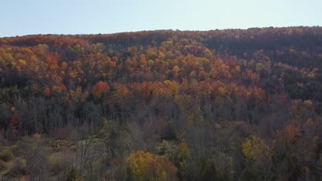 autumn scene