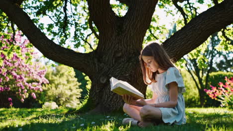 girl reading a book in a park