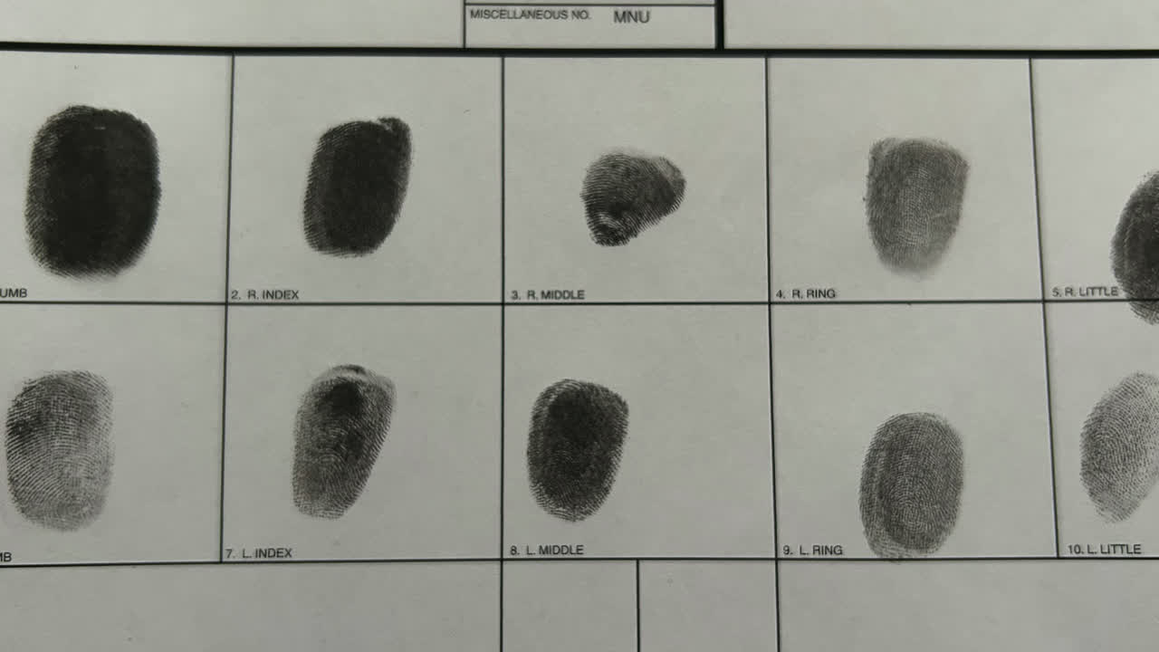 Zoom in on forensic fingerprint identity ink impressions