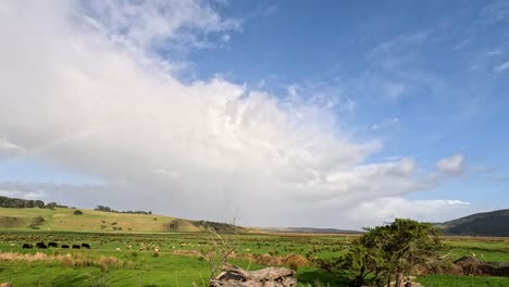 beautiful landscapes with fields and distant hills