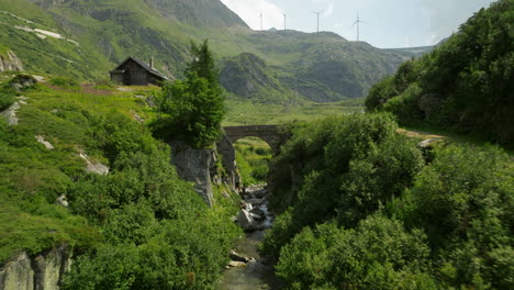 green meadow with lots of vegetation and shot under an old stone bridge, wind power windmills on the horizon