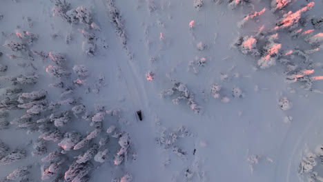 drones rastreando motos de nieve en un bosque cubierto de nieve ártico, mañana en laplandia