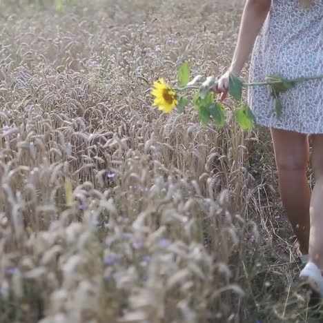 una mujer hermosa en un campo.