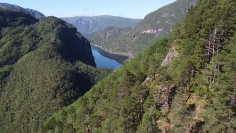 Passing-over-treetops-high-up-in-mountainside-to-tilt-down-revealing-Norway-highway-E-16-between-railroad-and-fjord-Dalevagen---Beautiful-deep-valley-landscape-with-sun-and-green-trees