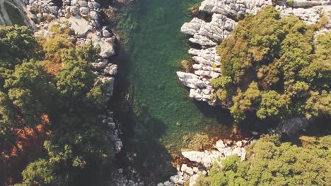 forest wit a rocky beach in greece