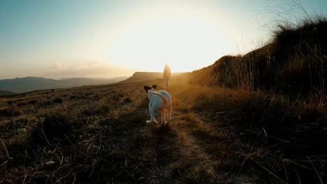 perro joven persiguiendo a una mujer hacia la puesta de sol