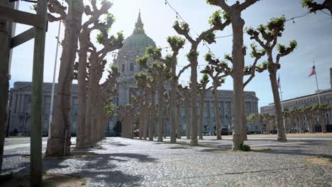 San-Francisco-Civic-Center-Und-Bäume-Im-Park