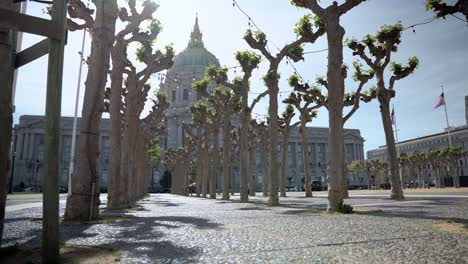 san francisco civic center and trees in the park