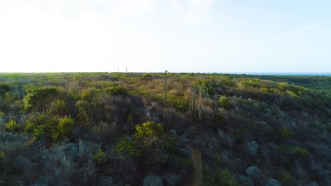 el descenso aéreo se inclina hacia arriba, los postes de las líneas eléctricas de utilidad corren a través del paisaje desértico al atardecer