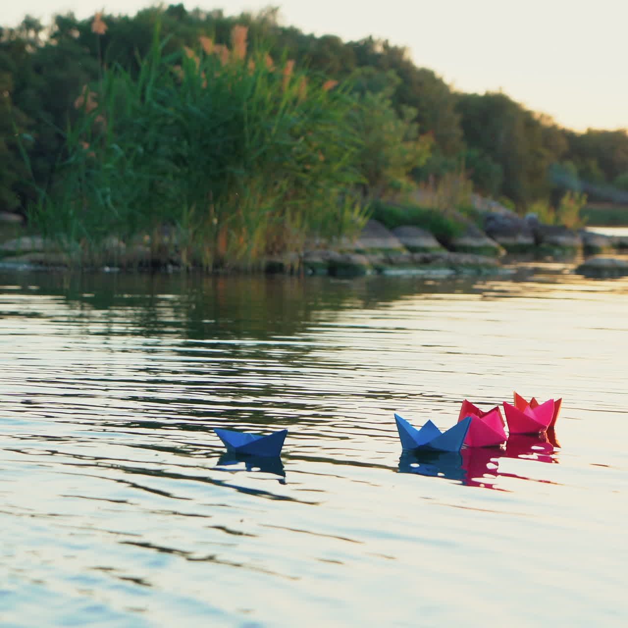 Different colored paper ships swim in a quick river surface on the natural background with green trees. Origami boats in bright colors on a lake at sunset