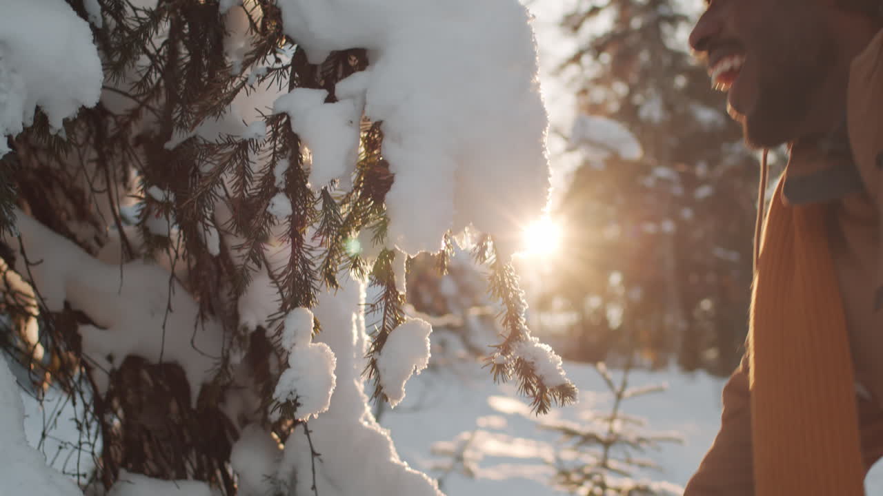 nevadas de invierno en los bosques