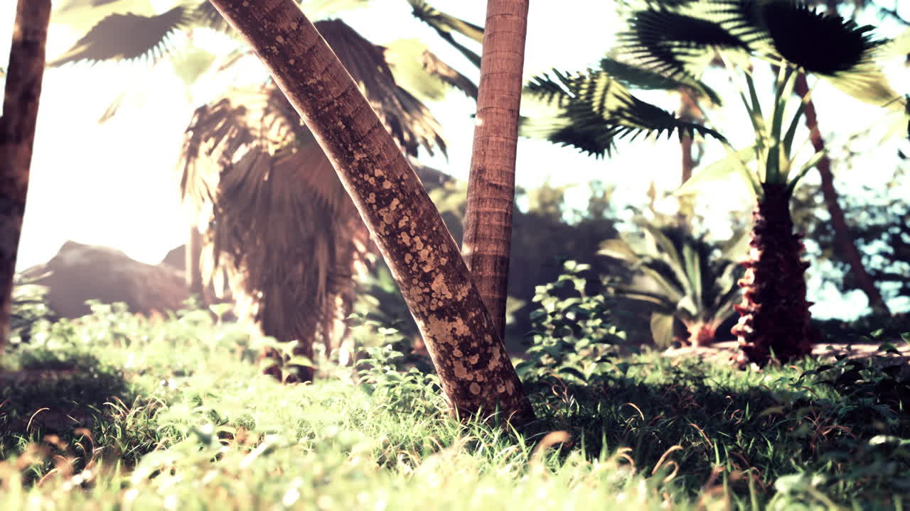 열대 천국: 나무 와 울창 한 초록색