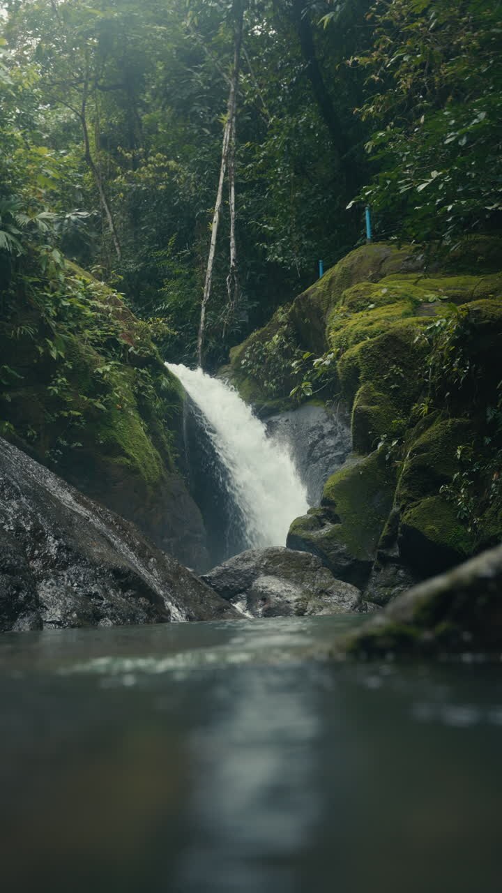 uma cachoeira numa floresta tropical exuberante