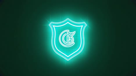 neon security shield