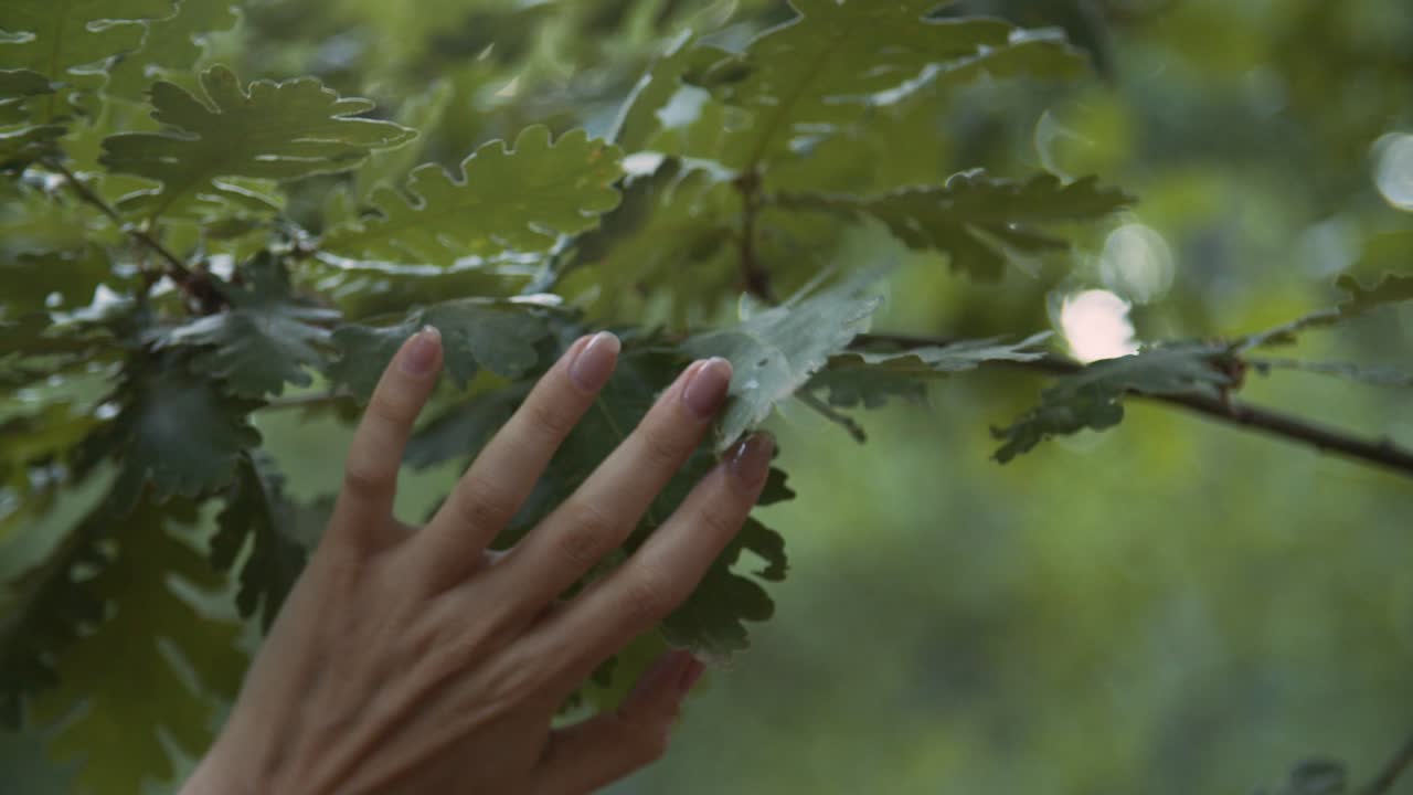 cierra la mano de la joven con una hermosa manicura tocando las hojas verdes de los árboles, el hada en el bosque