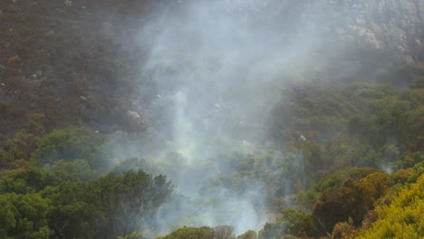 Arbusto-Humeante-En-La-Ladera-De-Una-Montaña-Durante-Los-Incendios-Del-Cabo-Occidental