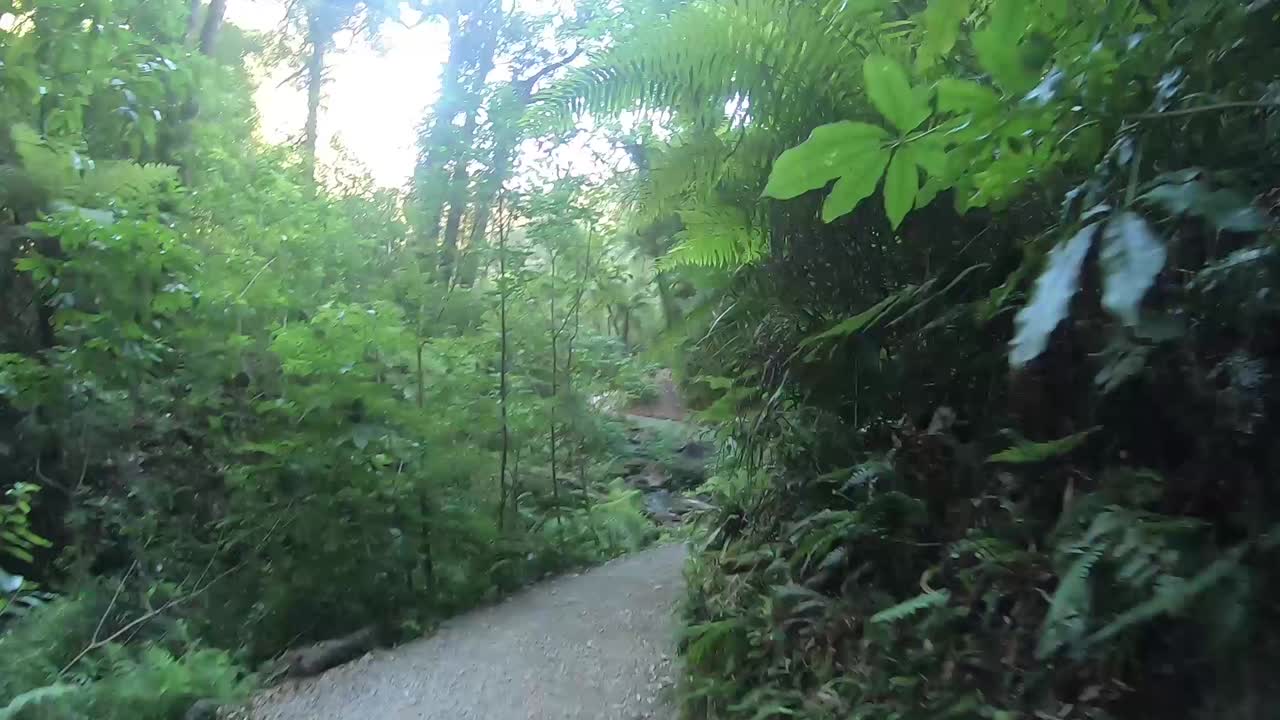 Hyperlapse of walking through trekking path