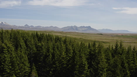 Travelling-Shot-Sobre-Hofsstadaskogur-En-Islandia