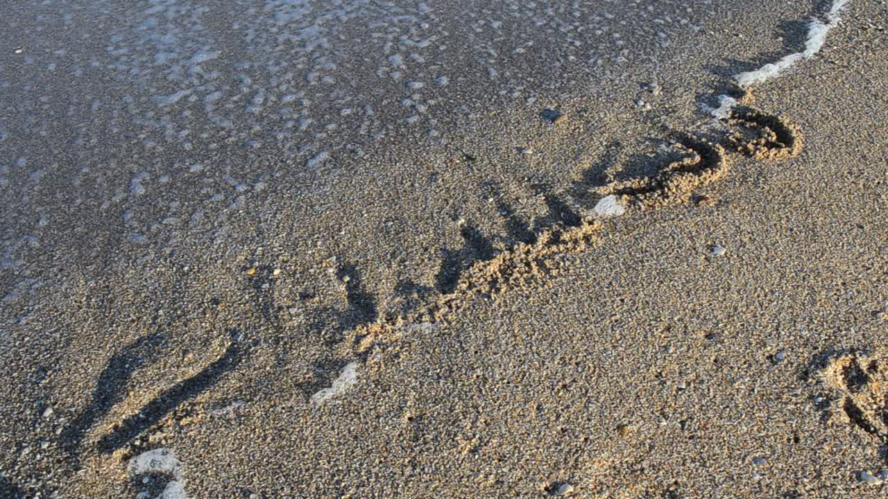 Iscrizione 'business' sulla sabbia. L'iscrizione viene cancellata da un'onda del mare. Riprese sulla spiaggia.