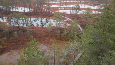 estonia, lahemaa national park, viru raba vaatetorn