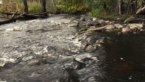 the river is flooded with heavy rain