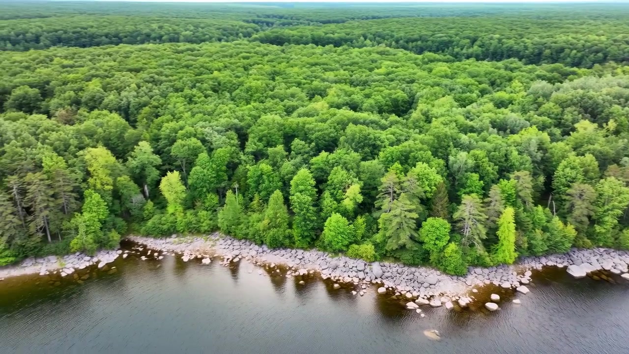 Letecký pohled na lesní jezero, husté zelené stromy lemující skalnaté pobřeží, klidná voda odrážející oblohu, panoramatický, odlehlý.