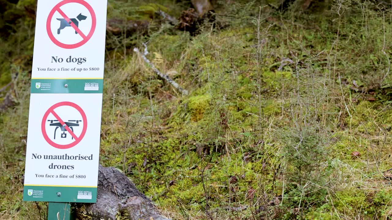 Camera pans past forest warning sign forbidding dogs and drones, natural daylight, steady movement