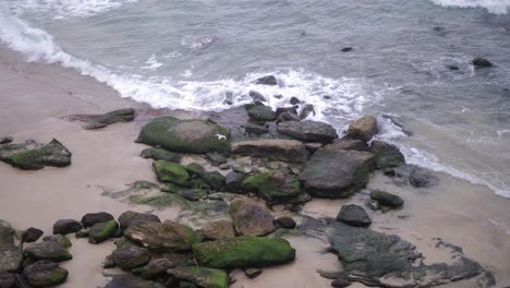 Birds-Flying-Around-To-The-Now-Cordoned-Off-Bondi-Beach-Because-Of-Worldwide-Coronavirus-19-Emergency