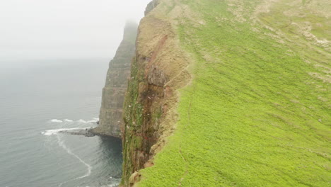 drone flies up sheer hornbjarg seacliff in hornstrandir nature reserve