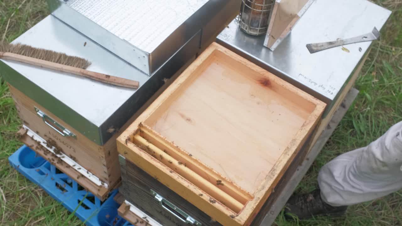 Footage of a beekeeper putting a wax foundation or honeycomb base into the frame-he is pouring liquid wax into the edges to make the base firm