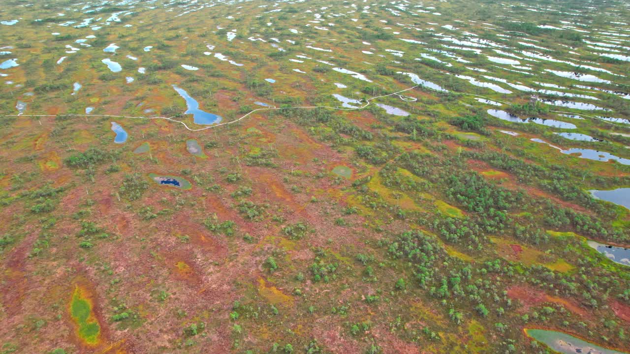 Exploring the colorful swamp landscape of Kemeri in Latvia from above