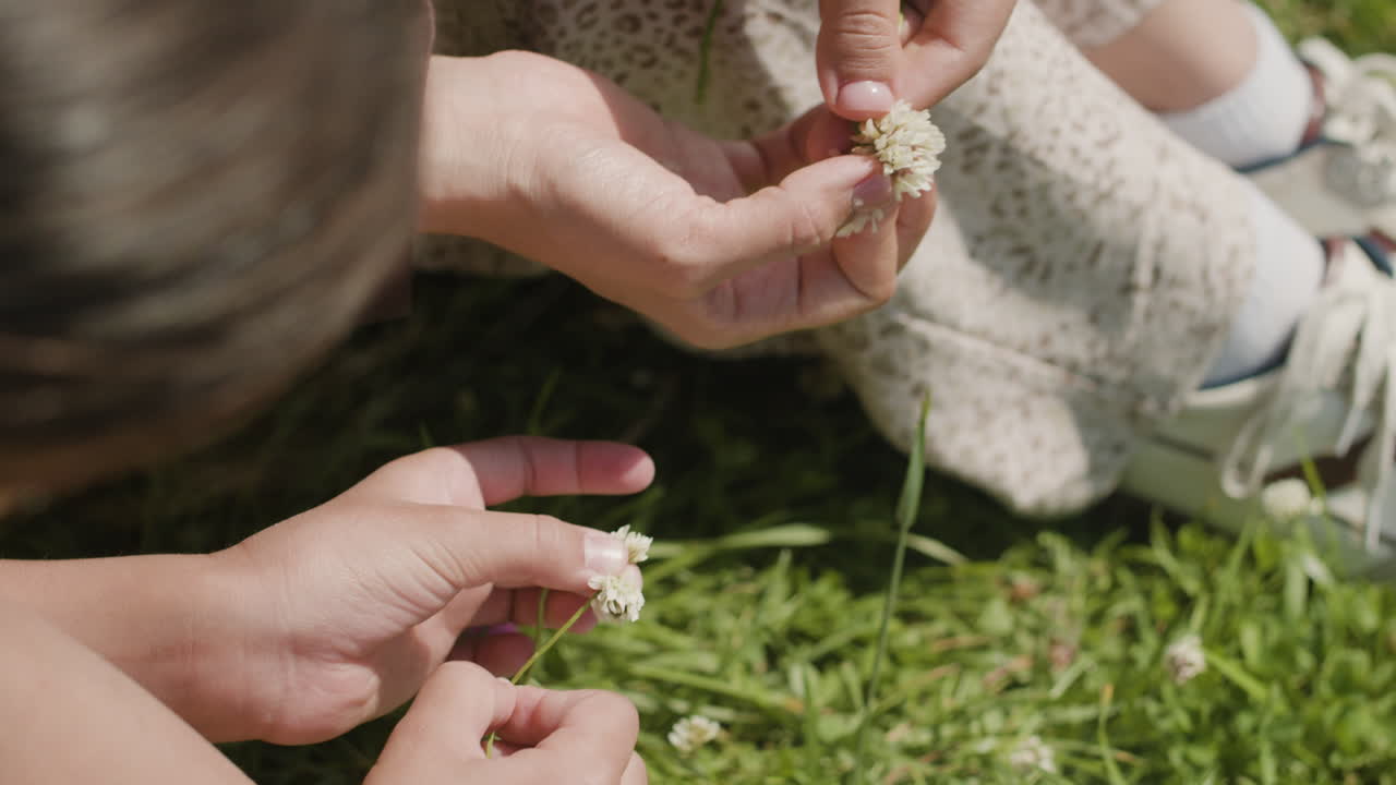 Hands holding clover flowers in grass