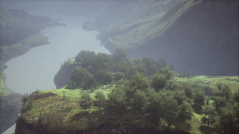 shot of a creek in the middle of green woods surrounded by hills