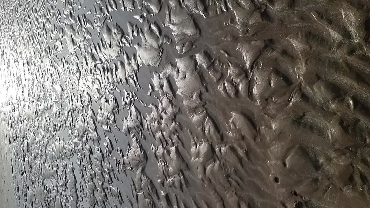 вертикально освещенный солнцем прилив пляж песчаные хребты мерцающие в вечернем закатном солнце