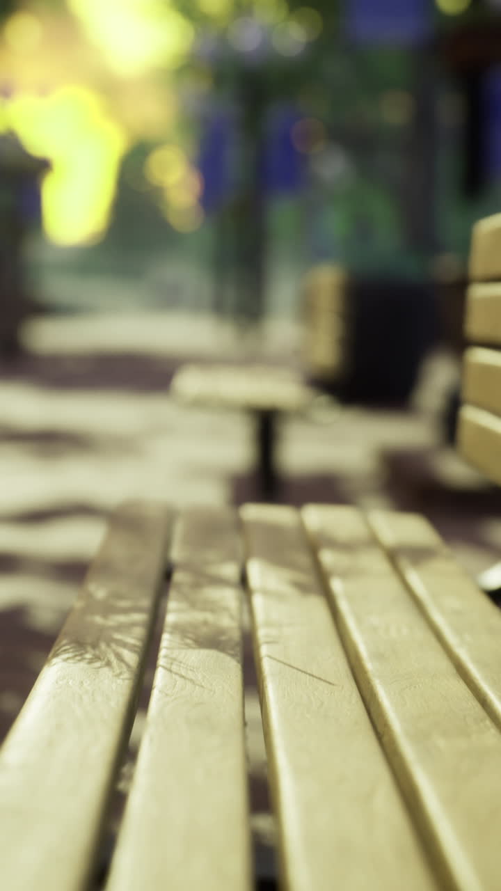 Benches in a serene urban park during a quiet evening stroll in autumn
