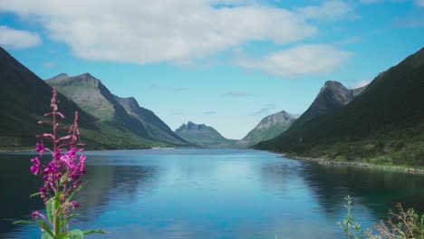 Panorama-Des-Fjords-Und-Der-Bergkette-Tagsüber-In-Gryllefjord,-Senja,-Norwegen