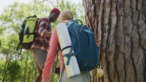 portrait of happy diverse couple hiking with backpacks and holding hands in park, slow motion